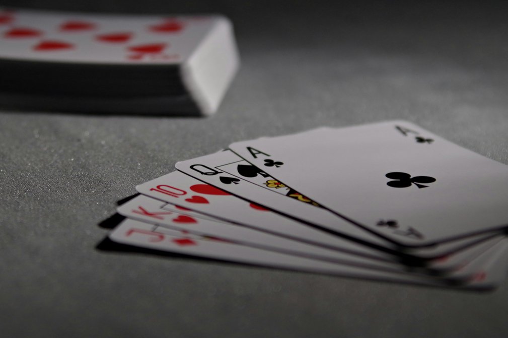 fight club casino 2026 fight club casino 2026